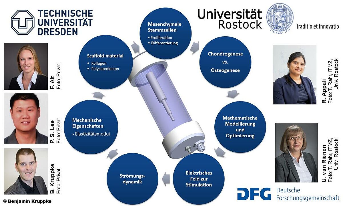Übersichtsgrafik über die ineinandergreifenden, interdisziplinären Forschungsthemen des DFG-Projektes